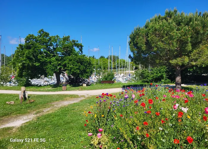 Le grenier a sel